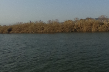 Imatge del riu Ebre a l'altura de Campredó.