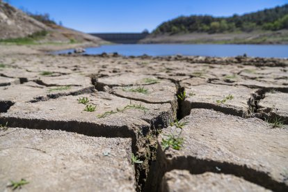 Actualment, el pantà de Riudecanyes es troba al 2,8% de la seva capacitat total.