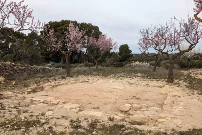 Imatge del jaciment del Coll del Moro de Gandesa.