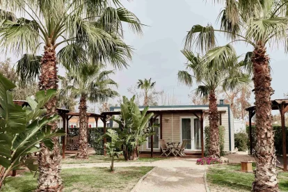 Imatge d'un Bungalow entre palmeres del nou TAIGA Delta de l’Ebre.