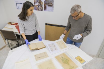 La conservadora i restauradora Anna Ferran i el director del Museu de Reus, Marc Ferran, amb els dibuixos d’Antoni Gaudí.