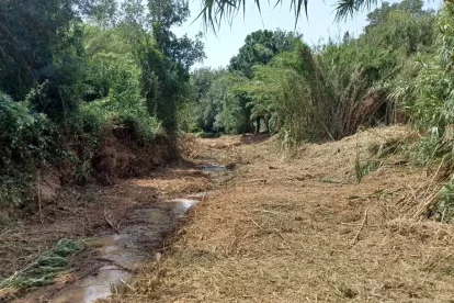 El torrent de Vallmoll, després dels treballs.