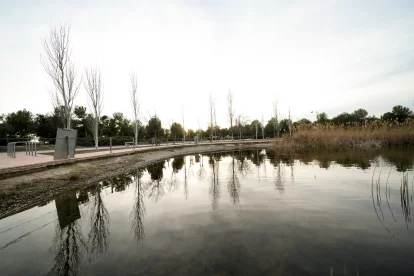 Entorn del llac de l'Anella Mediterrània.