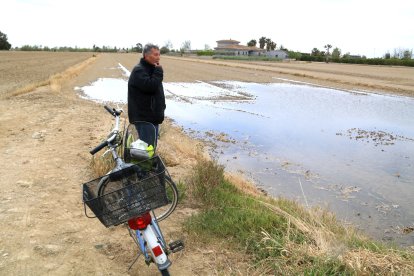 Ramon Vila, pagès de Deltebre, observa com s'inunda el seu camp d'arròs.