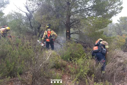 Els Bombers treballant a l'incendi de Xerta