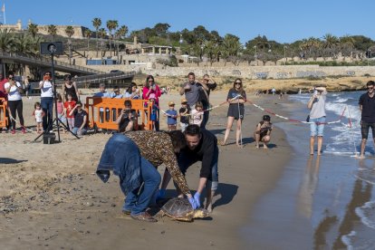 Viñuales participant en l'alliberament de la tortuga marina Aran.