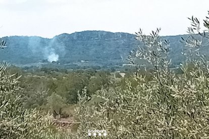 Imatge de la columna de fum de l'incendi de vegetació a l'Ametlla de Mar.