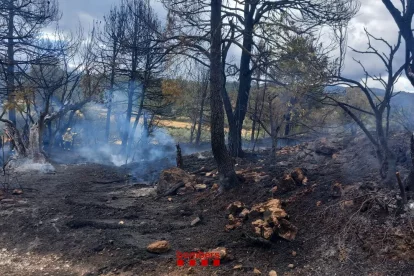 Imatge de l'incendi a Arnes.