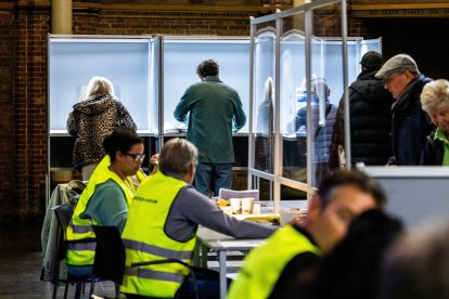 Ciutadans votant en les eleccions europees als Països Baixos