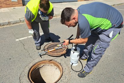 Imatge dels operaris de la lluita contra insectes, paneroles i rosegadors.