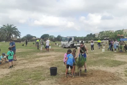 Uns instant de la plantada.