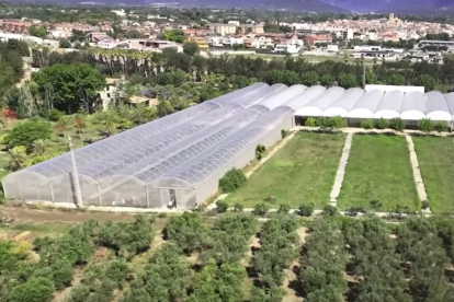 Imatge dels terrenys on José Elías instal·larà la seva nova planta.