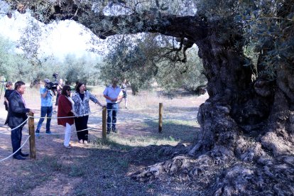 La secretària d'Estat d'Agricultura, Begoña García, observant la Farga de l'Arion en la seva visita a Ulldecona.