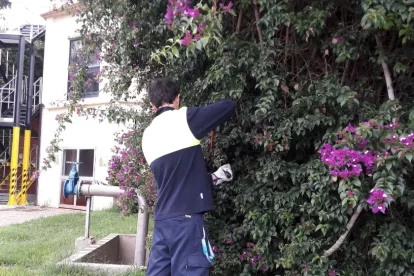 Un noi duent a terme tasques de manteniment de jardineria.