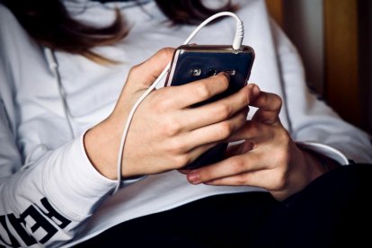 Els qüestionaris recollien preguntes sobre aspectes com l’ús de pantalles