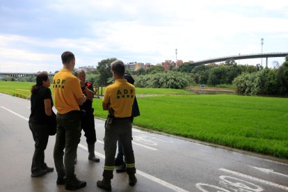 Rsponsables de l'Ajuntament de Santa Coloma de Gramenet, membres de les ADF i de Protecció Civil al Parc Fluvial del Besòs, tancat pels vessaments tòxics causats per l'incendia Polinyà