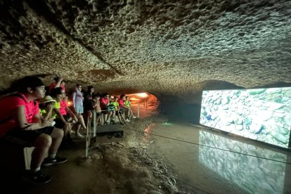 Imatge de la visita a les coves de l'Espluga.