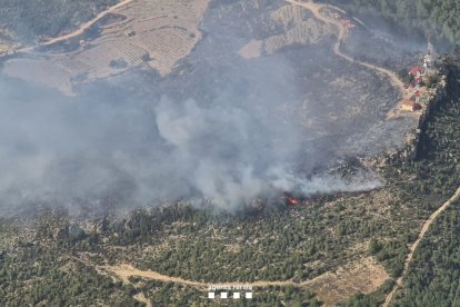 Imatge de l'incendi forestal de la Figuera