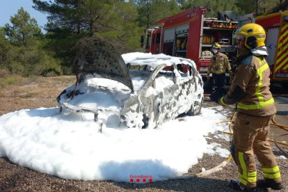 Imatge del vehicle cremat a Colldejou