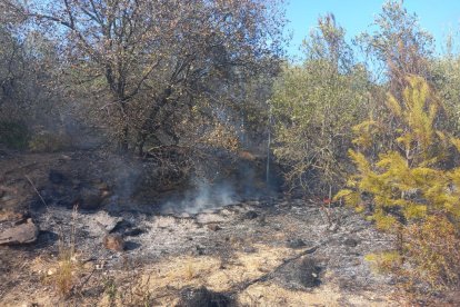 Imatge de l'incendi de vegetació a les Borges del Camp