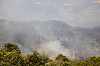 Incendi forestal a Vilanova de Meià