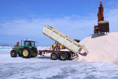 Un tractor descarrega sal recol·lectada a les instal·lacions d'Infosa a la punta de la Banya.