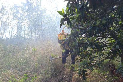 Imatge dels Bombers treballant al lloc de l'incendi.