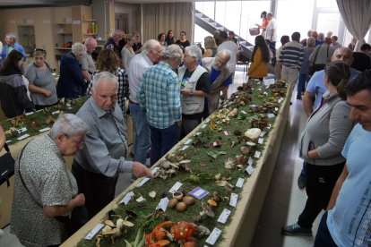 Imatge de la mostra de bolets de l'any passat.