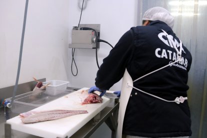 Un treballador de l’empresa Catamar filetejant peix.