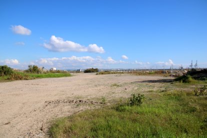 Un dels espais dels Prats d'Albinyana de Vila-seca, amb el Port de Tarragona al fons.