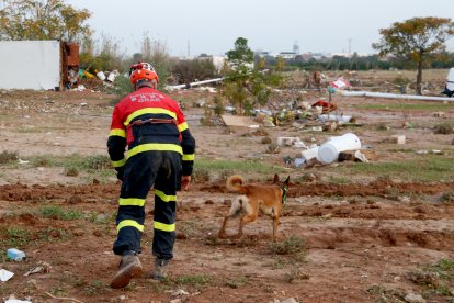 Imatge d'arxiu dels Bombers de la Generalitat buscant persones desaparegudes en un descampat