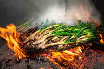 Imatge de calçots.