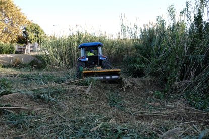 Un tractor treballant en la neteja de la riera de Maspujols.