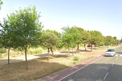 Imatge del carril bici del carrer Rosa dels Vents.