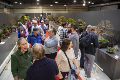 Fotografia del Congrés europeu de bonsais celebrat a les instal·lacions del firaReus Events durant el cap de setmana