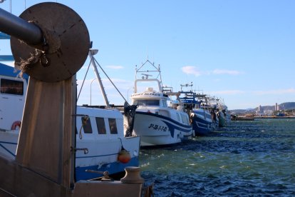 Diverses barques d'arrossegament amarrades al moll pesquer de la Ràpita.