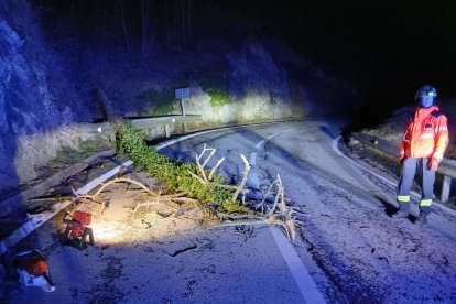 Imatge d'un arbre caigut en una carretera.