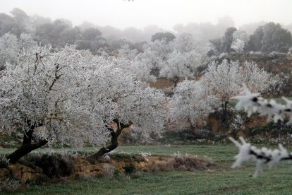 Paisatge gelat a Catalunya.