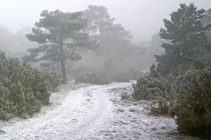 Imatge del paisatge nevat aquesta setmana als Ports