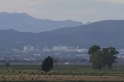 L'entitat assegura que el polígon s'ubicarà en una zona «d'alt valor ambiental, ecològic i paisatgístic».