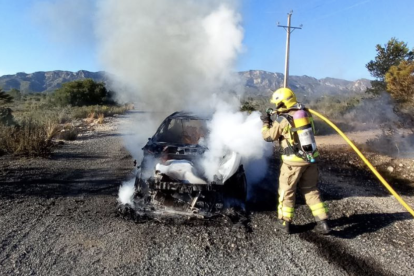 Un membre del cos de Bombers treballa en l'extinció de les flames d'un vehicle en una zona propera a la N-340 a l'Ametlla de Mar.