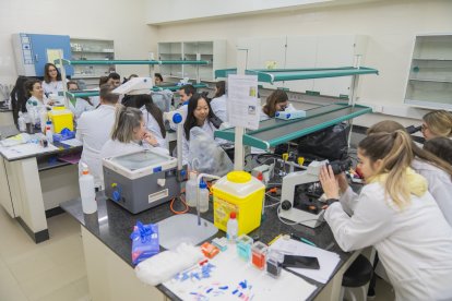 Fotografia d’arxiu d’una classe en un laboratori a la Facultat de Medicina de la URV