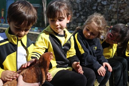 Col·legi Sant Pau Apòstol: Més de 50 anys respirant internacionalitat i innovació en un entorn privilegiat.