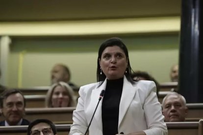 Imatge d'arxiu de la diputada Elisa Vedrina.