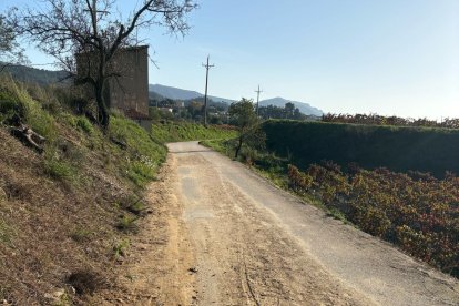 Imagen de uno de los tramos del camino que utilizan los alumnos para ir hasta el Instituto Priorat.