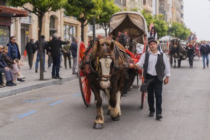 Els Tres Tombs arrencaran des del carrer Francesc Bastos a les 11.30 hores.