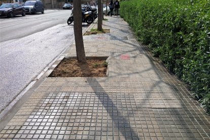 Una de las actuaciones hechas en Sant Pere i Sant Pau.
