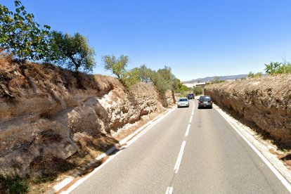 Imatge de l'actual carretera entre Benissanet i Móra d'Ebre