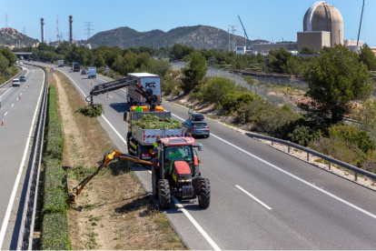 Una màquina netejant la mitjana a l’AP-7 al seu pas per la nuclear de Vandellòs.