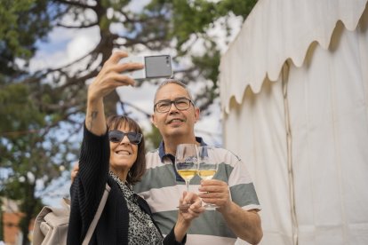 Feria del Vino de Falset.